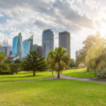 The Expertise Behind a Professional Tree Assessment