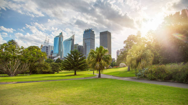 The Expertise Behind a Professional Tree Assessment